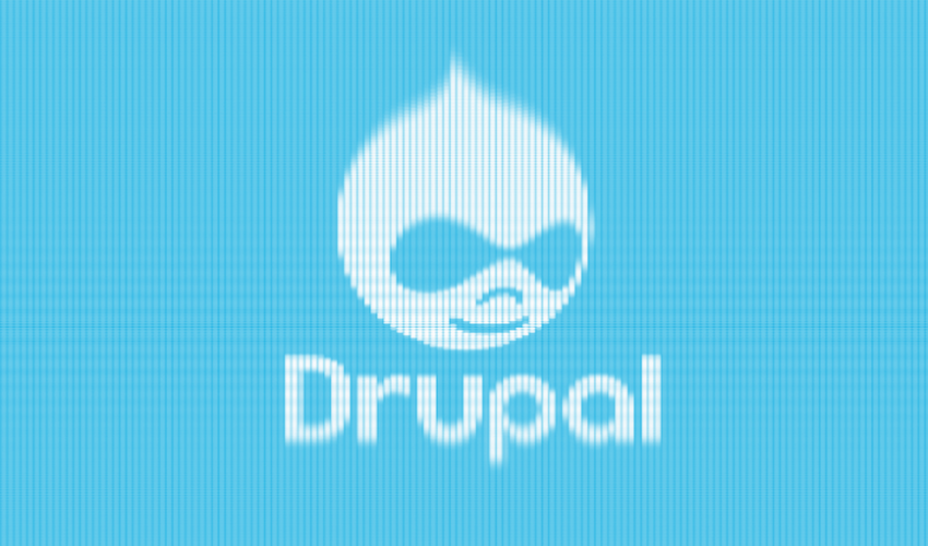 hire drupal developer